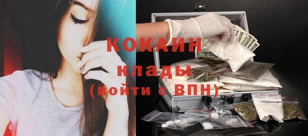 мдпв Майский
