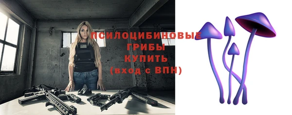 тгк Магас