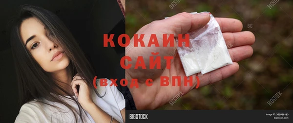 мдпв Майский