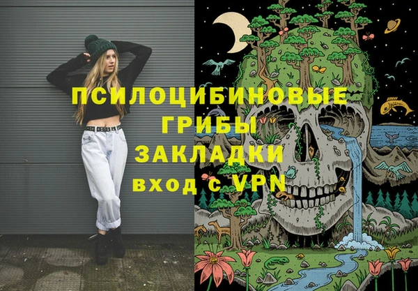 мдпв Майский