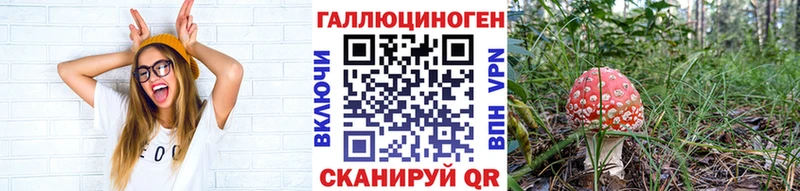 Купить закладки  Новотроицк  Псилоцибиновые грибы Magic Shrooms 
